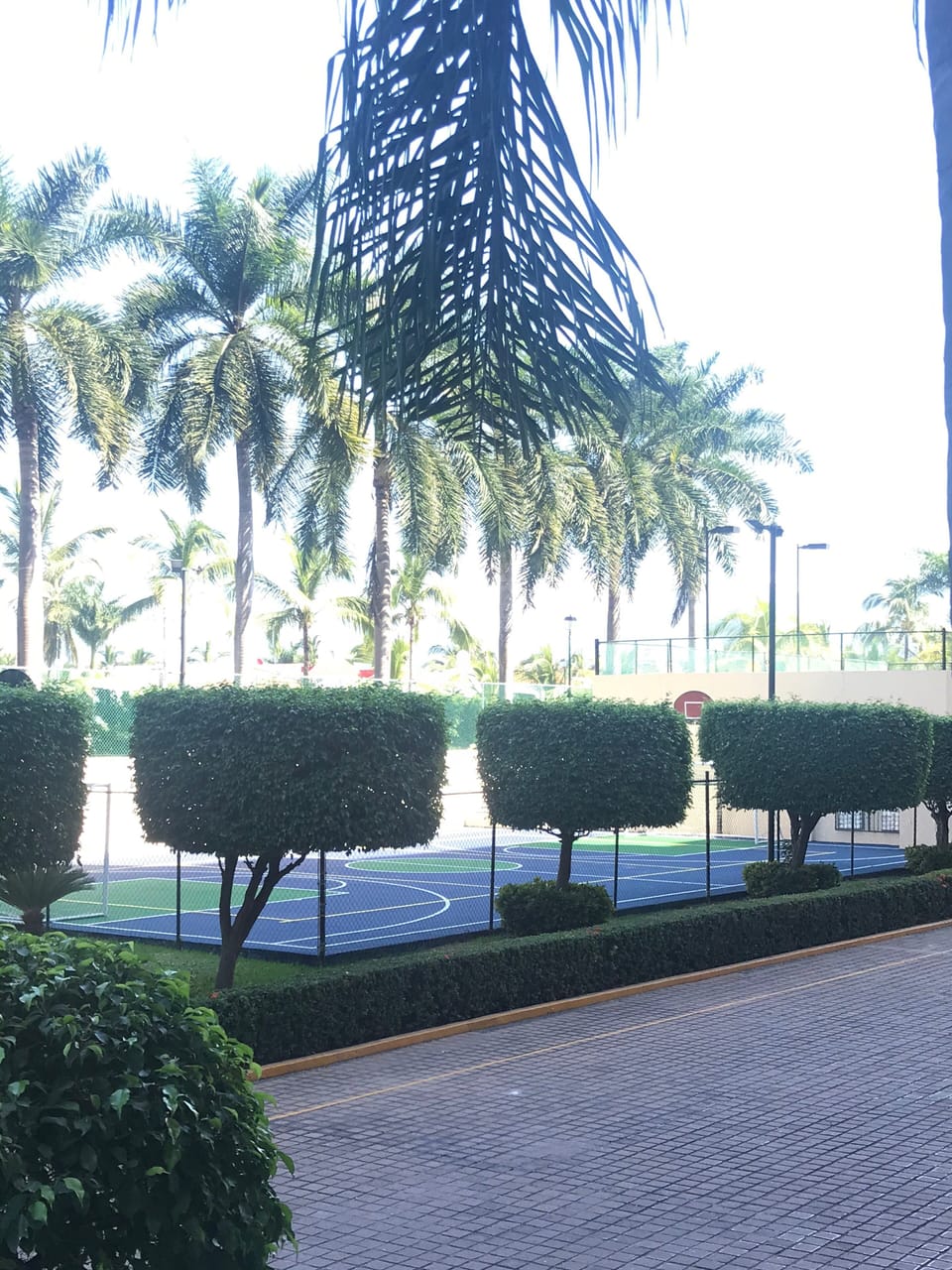 Sport court