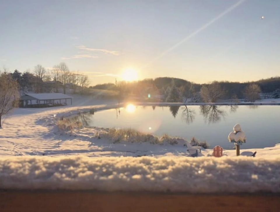 Pond view in the winter