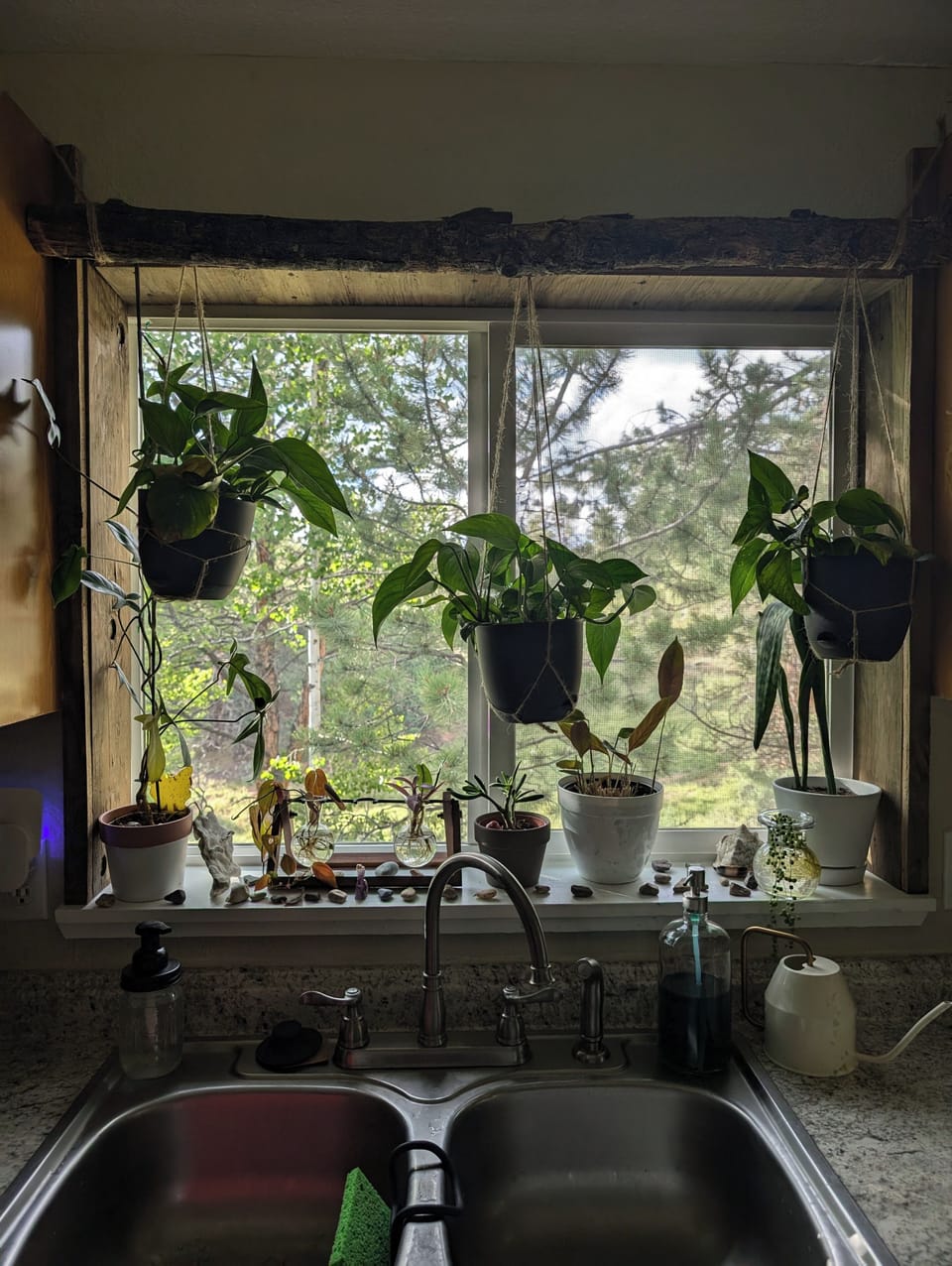 View from kitchen window