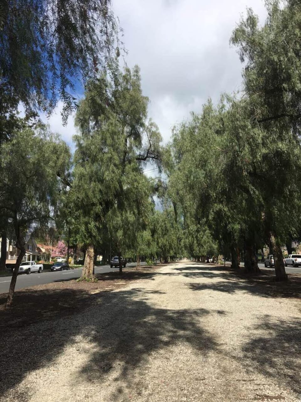 Euclid walking trail near home 