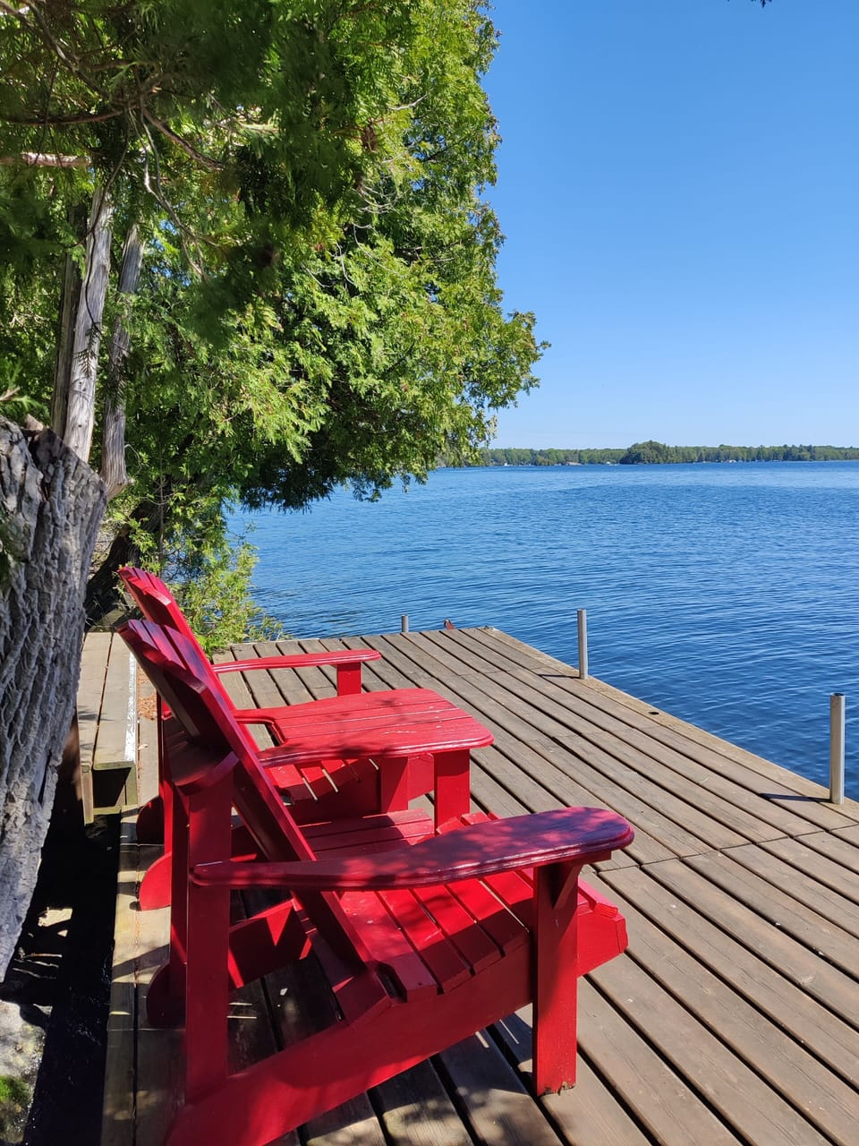 Midday on the dock, overlooking the lake. 