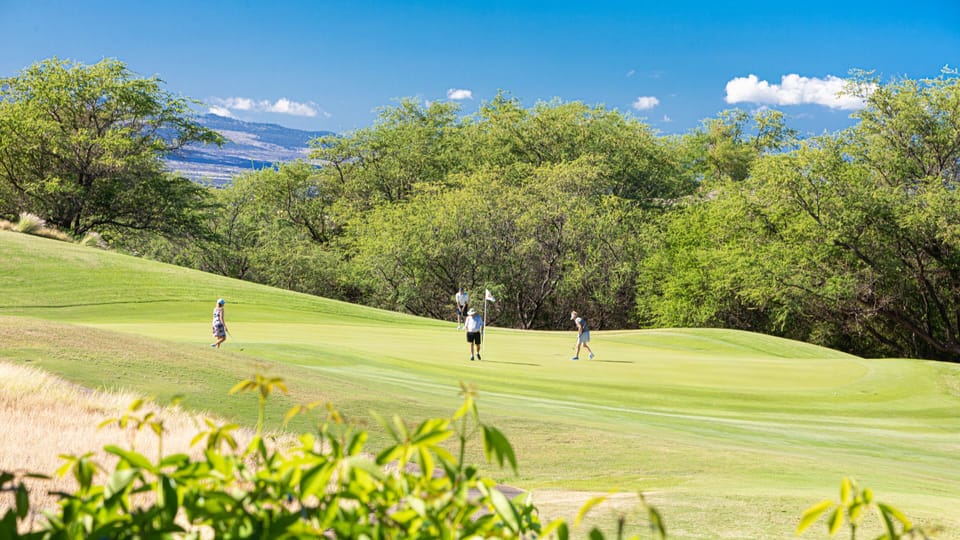 Golf Course View