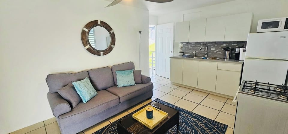 Open spacious living area with fan, smart TV Wi-Fi and access to balcony.