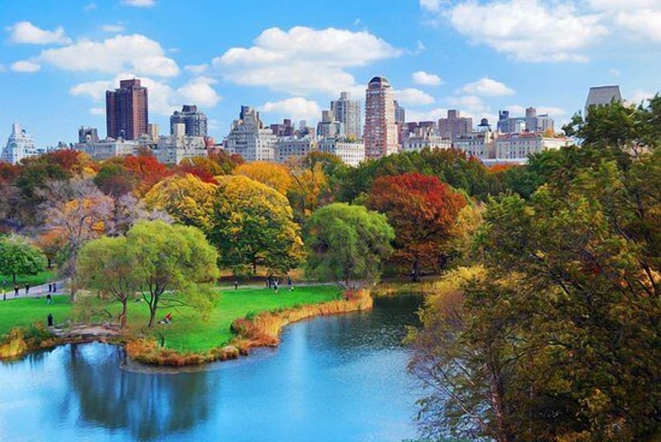 Wander through colorful park views moments from your stay.
