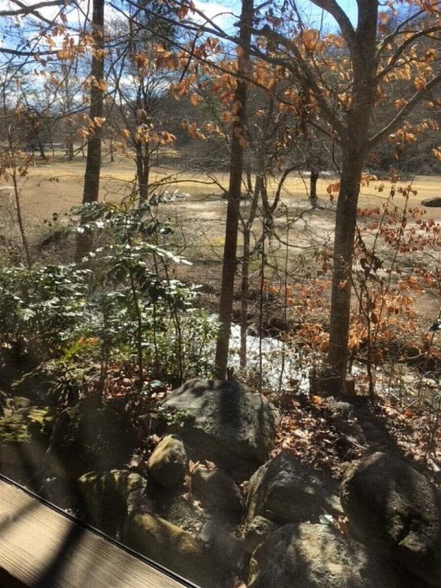 You can hear the stream from the back porch.