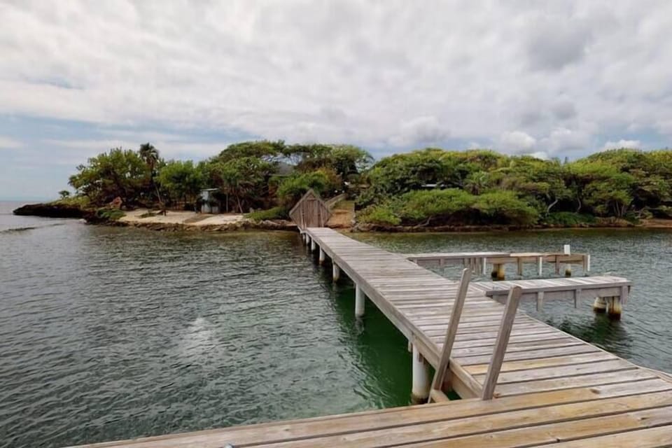 Community Bridge (2)