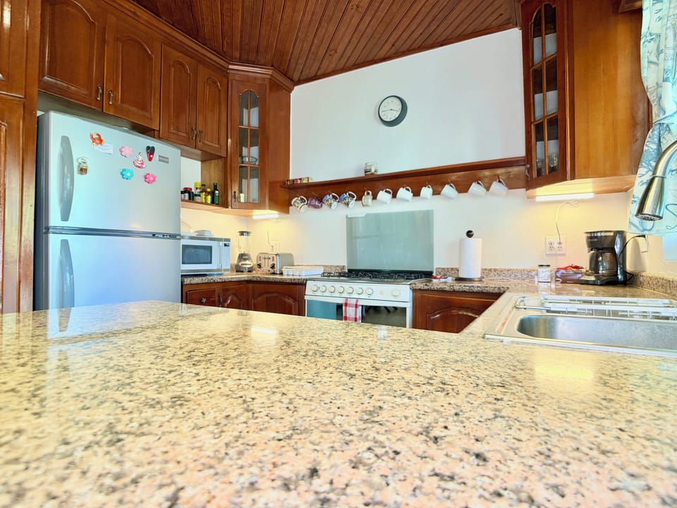 Kitchen (2)