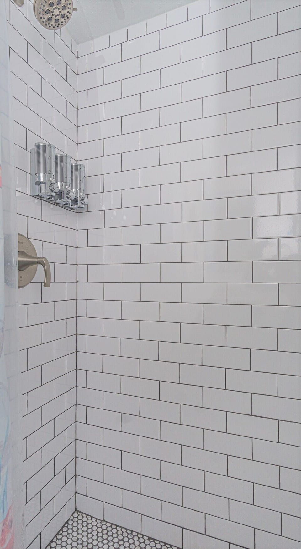 Shower with Shampoo/Conditioner/Body Wash