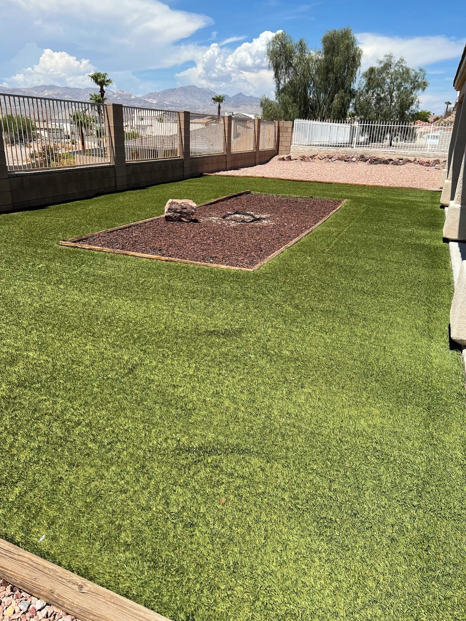 Back yard