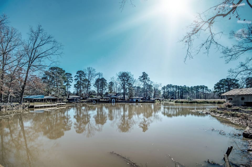 Looking from the back yard.