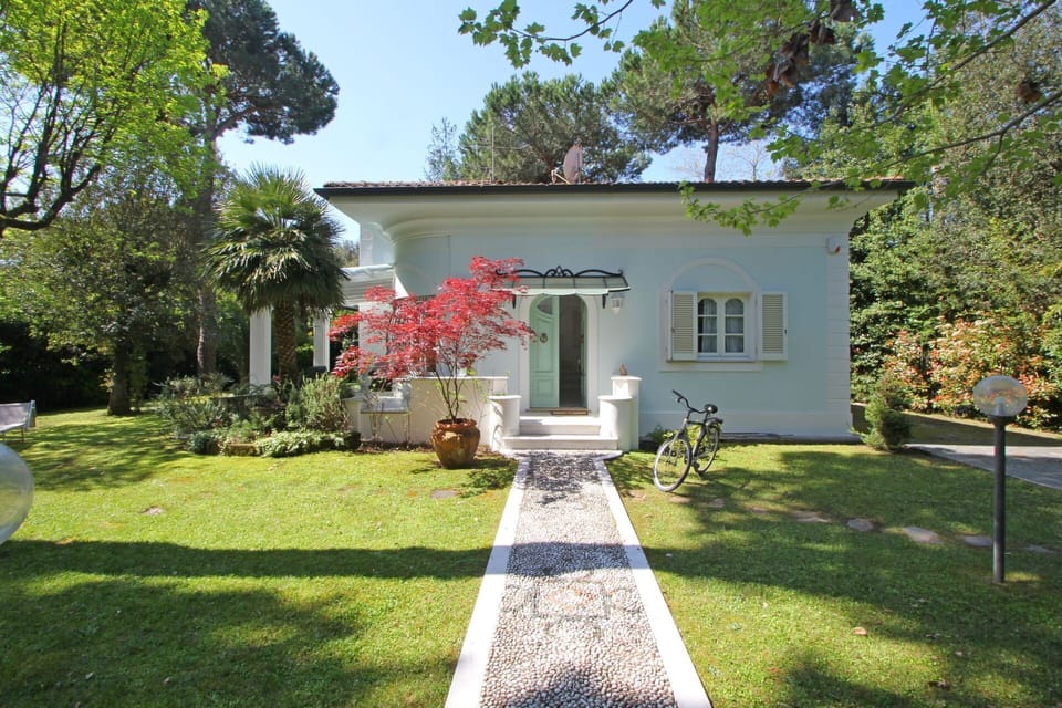 Garden, Outdoor