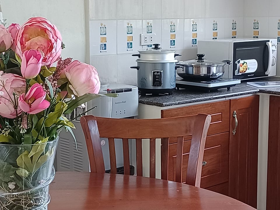Villa Camotes kitchen