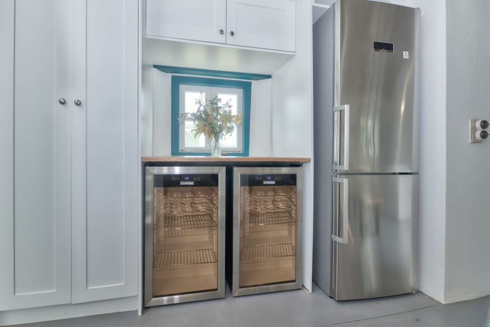 Fridge and wine fridge