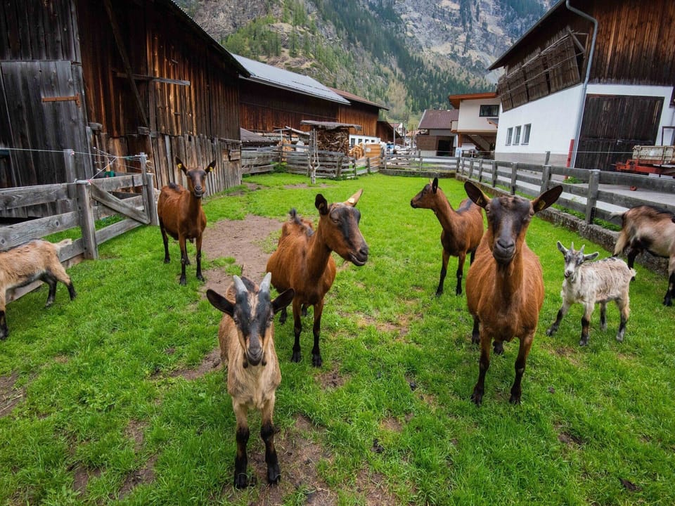 Surroundings [summer] (1-5 km)