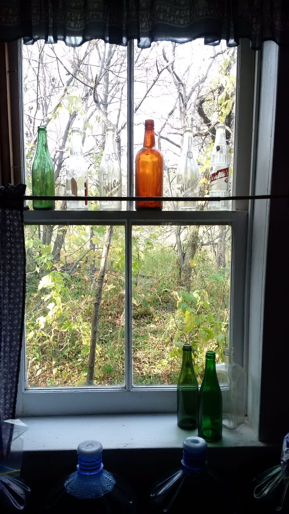 View from back kitchen window