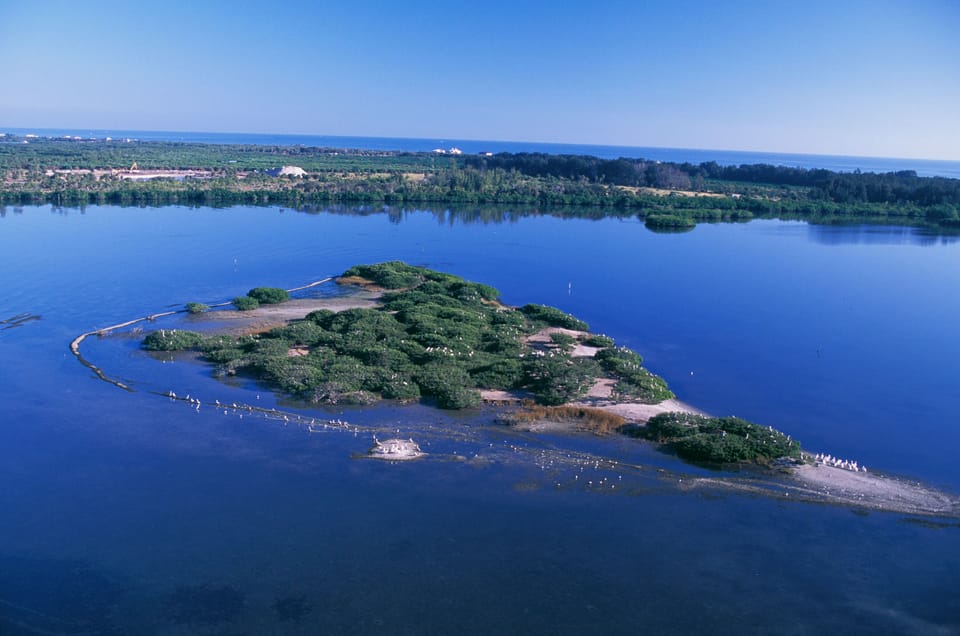 Pelican Island