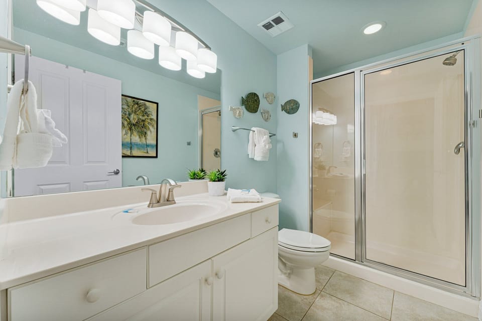 2nd bath with step-in  shower.