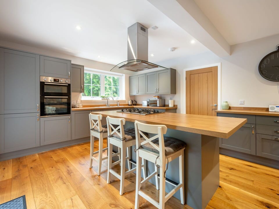 Plant, Furniture, Property, Window, Chair, Building, Wood, Lighting, Flowerpot, Architecture