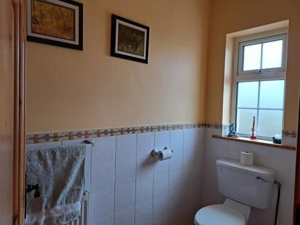 Toilet off Utility 