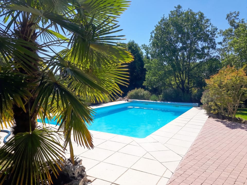 Swimming pool view