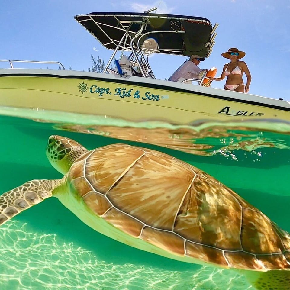 I highly recommend Captain Kidd and son for swimming with the pigs and turtles