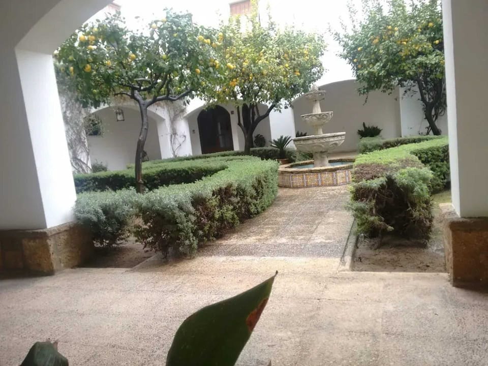 Garden view