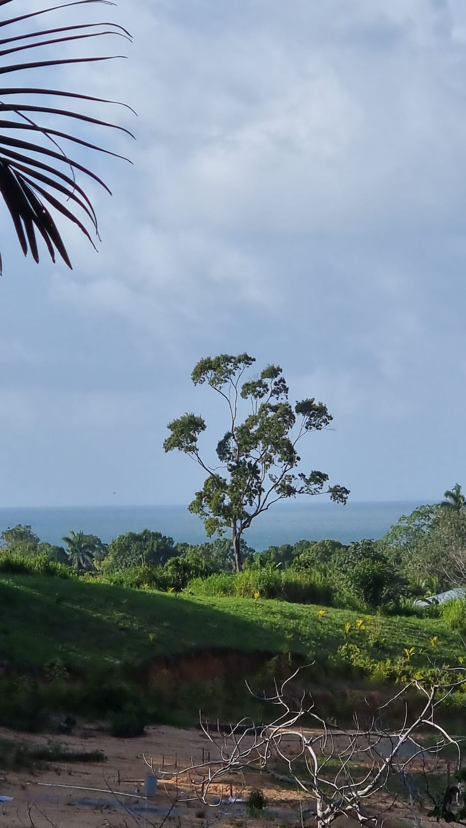 the Caribbean!