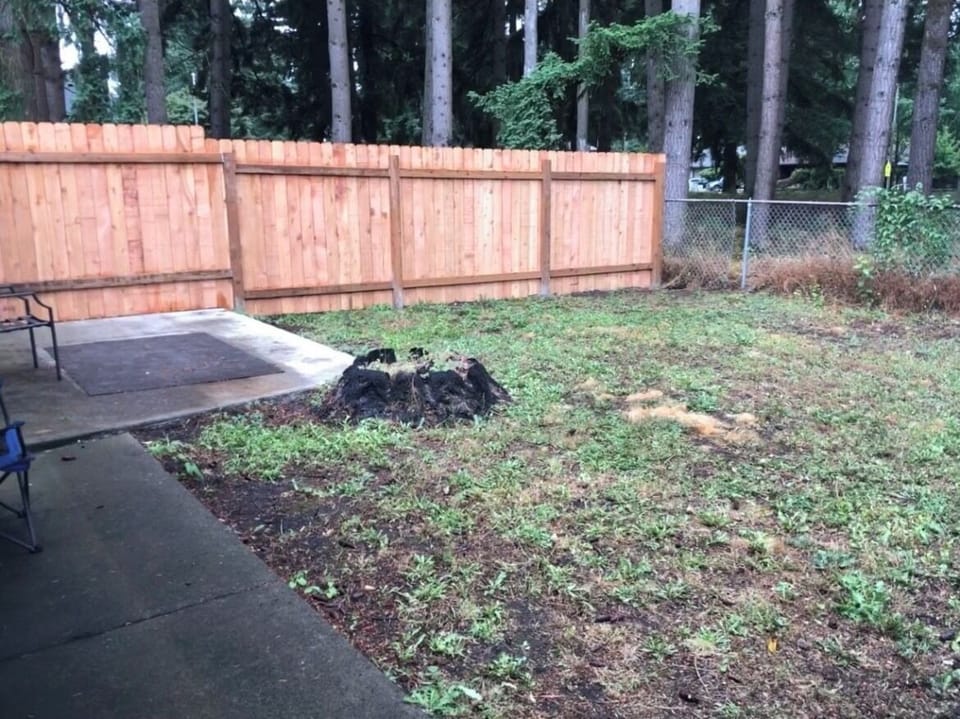 Fenced yard with a gate to the park