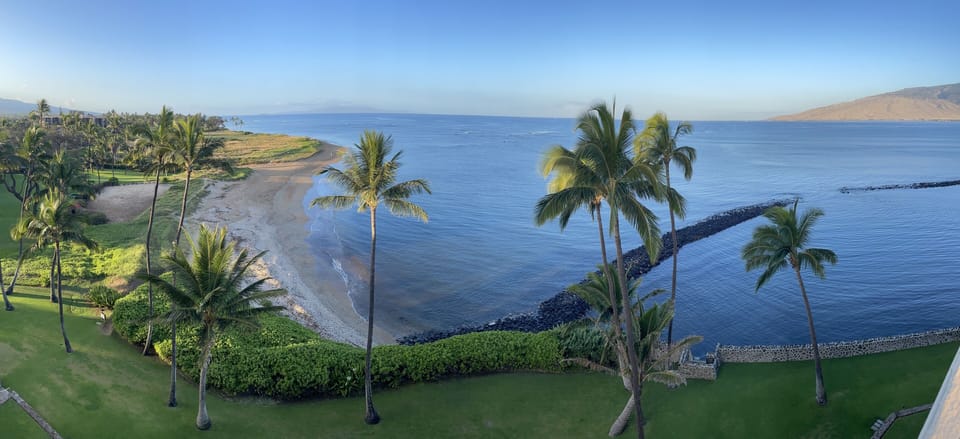 View from Rooftop