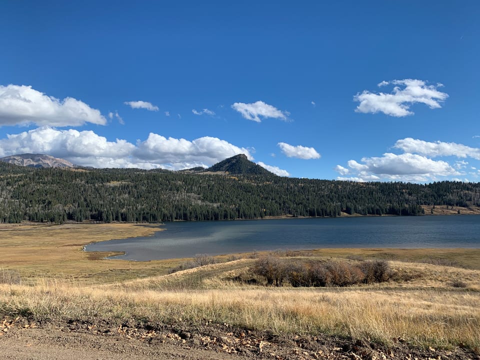 William's Reservoir (fishing)