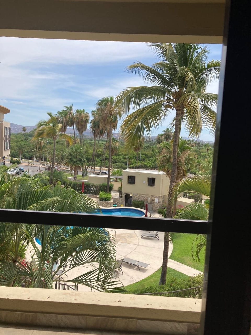 morning views 