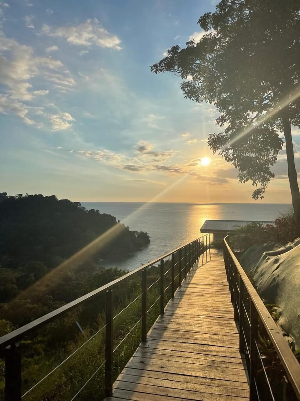 View from property