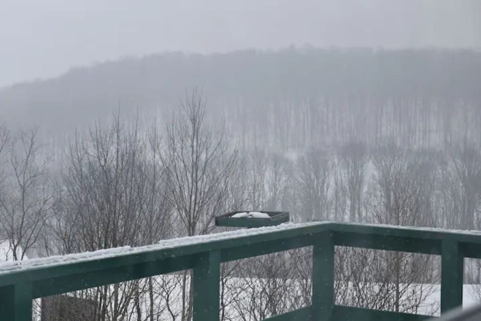snowy views