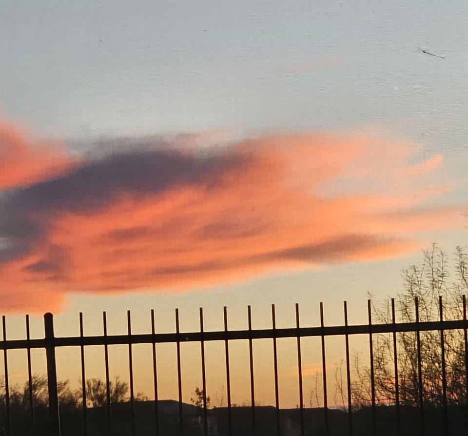 View from property