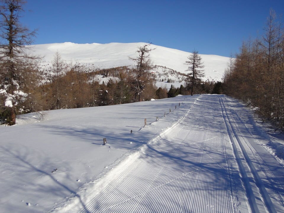 Sky, Snow, Mountain, Plant, Slope, Wood, Tree, Mountainous Landforms, Freezing, Landscape