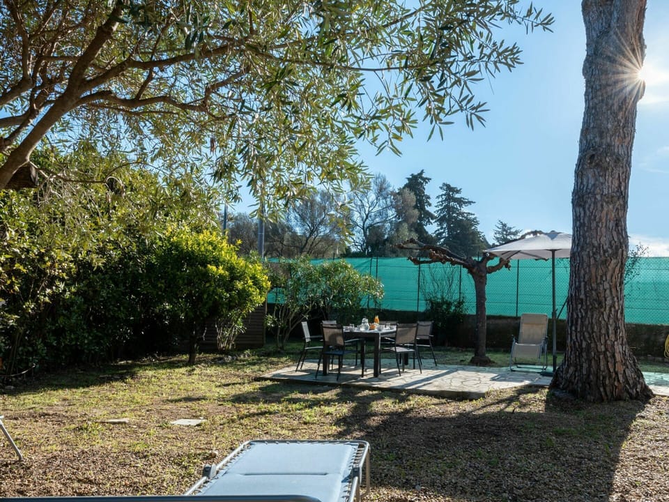 Plant, Sky, Outdoor Bench, Shade, Botany, Outdoor Furniture, Natural Landscape, Vegetation, Land Lot, Tree