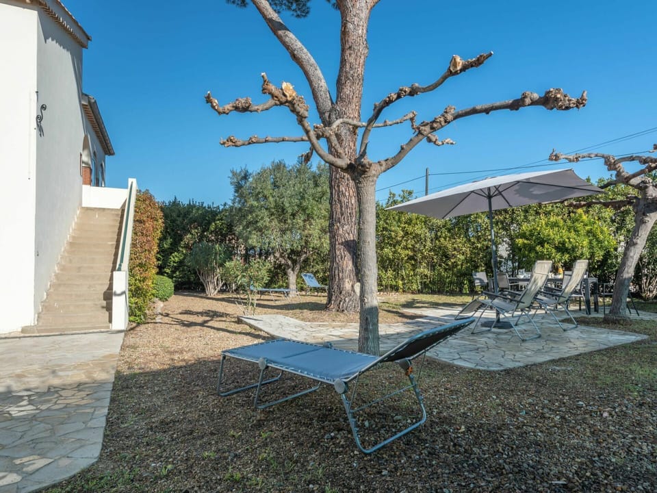 Sky, Plant, Tree, Shade, Building, Road Surface, Land Lot, Outdoor Furniture, Wood, Public Space