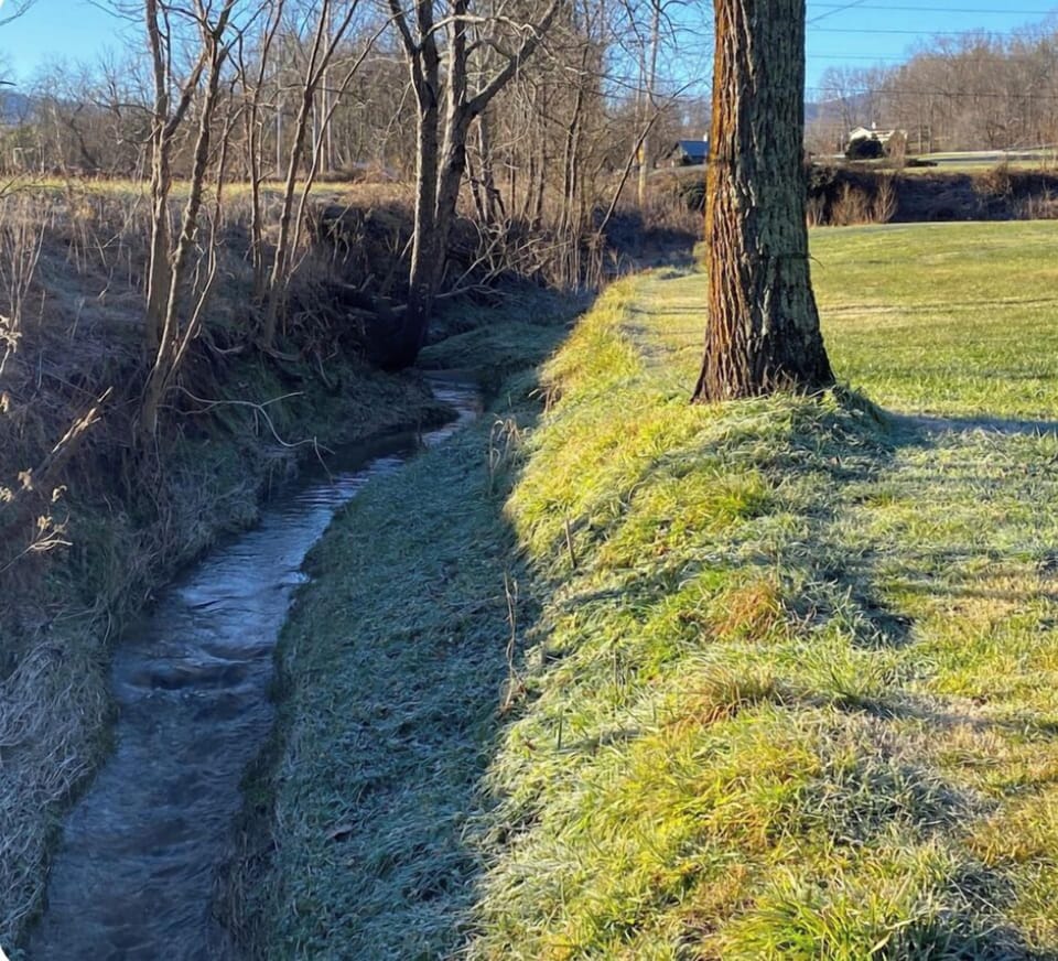 Our creek that runs around our property.