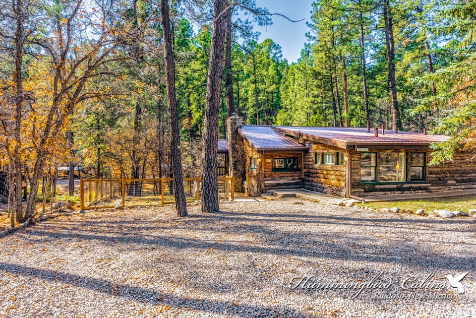 Welcome to The Apple Tree!