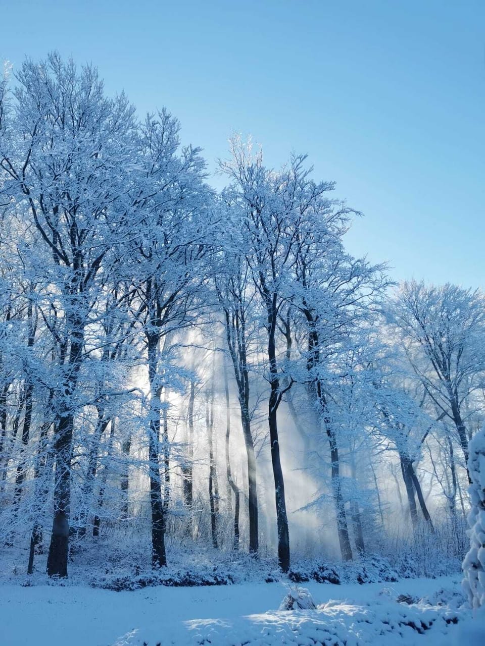 Snow and ski sports