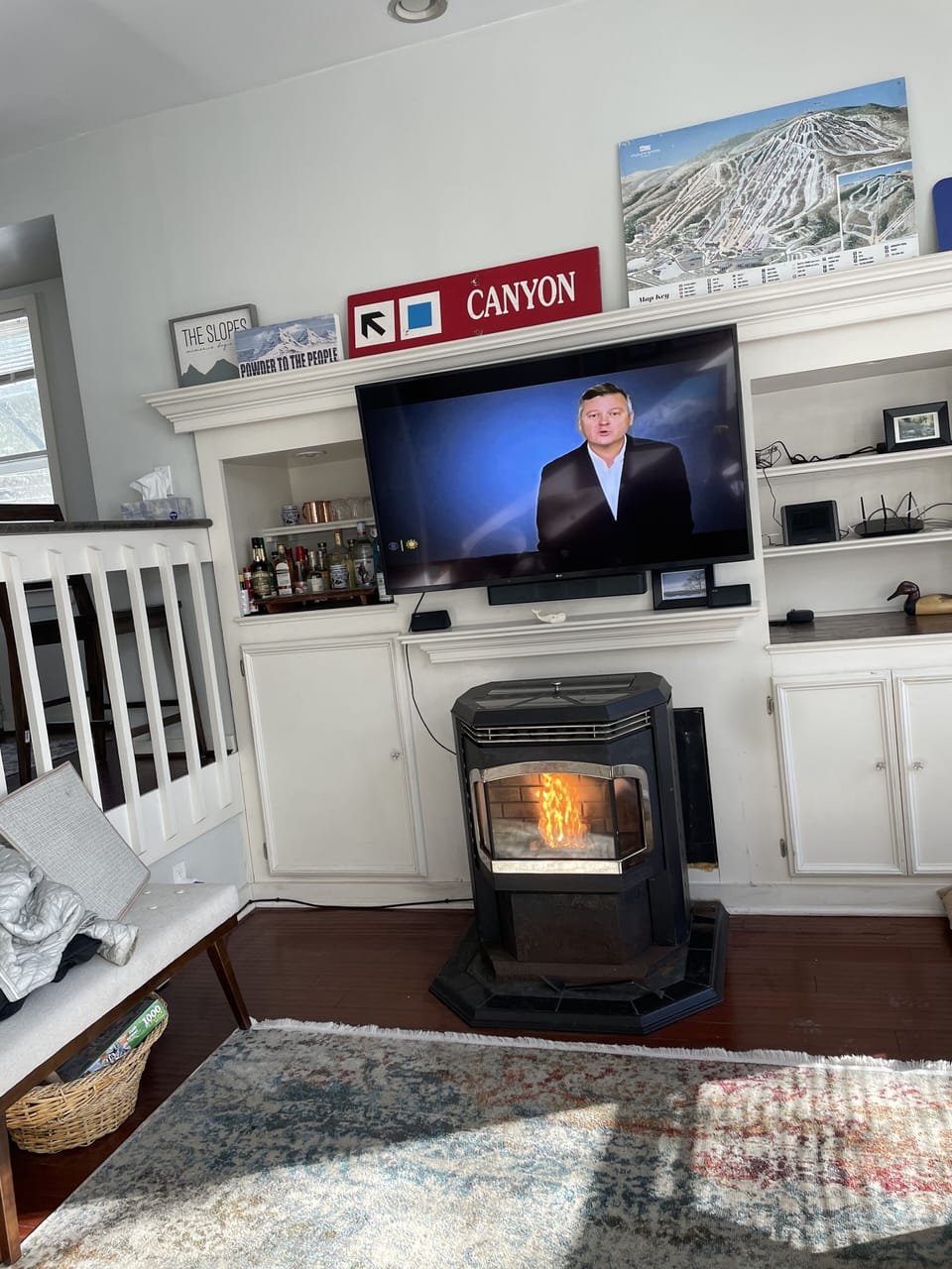 living room with pellet stove
