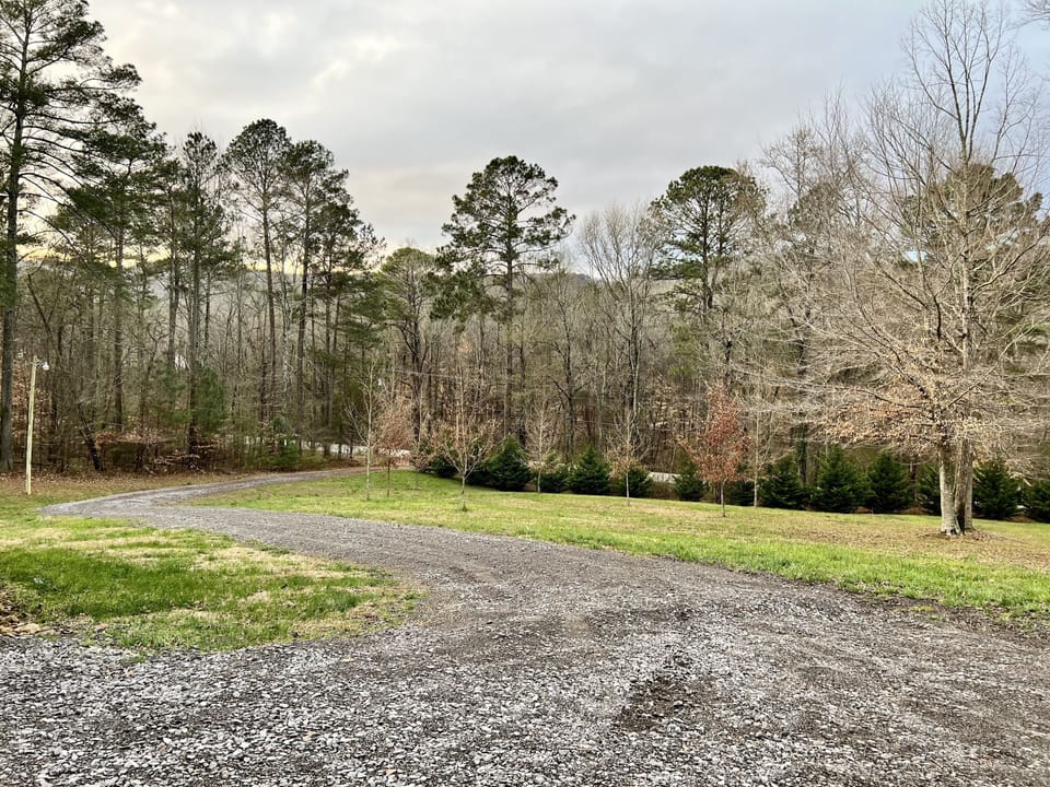 driveway to house.