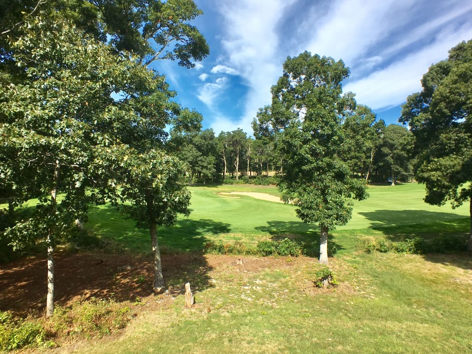 View from Deck