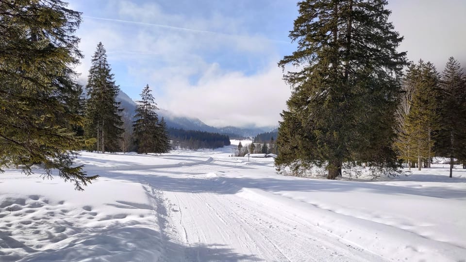 Snow and ski sports