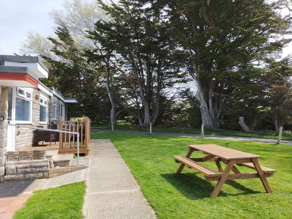 Grass and bench to front of Fossils Reach.
