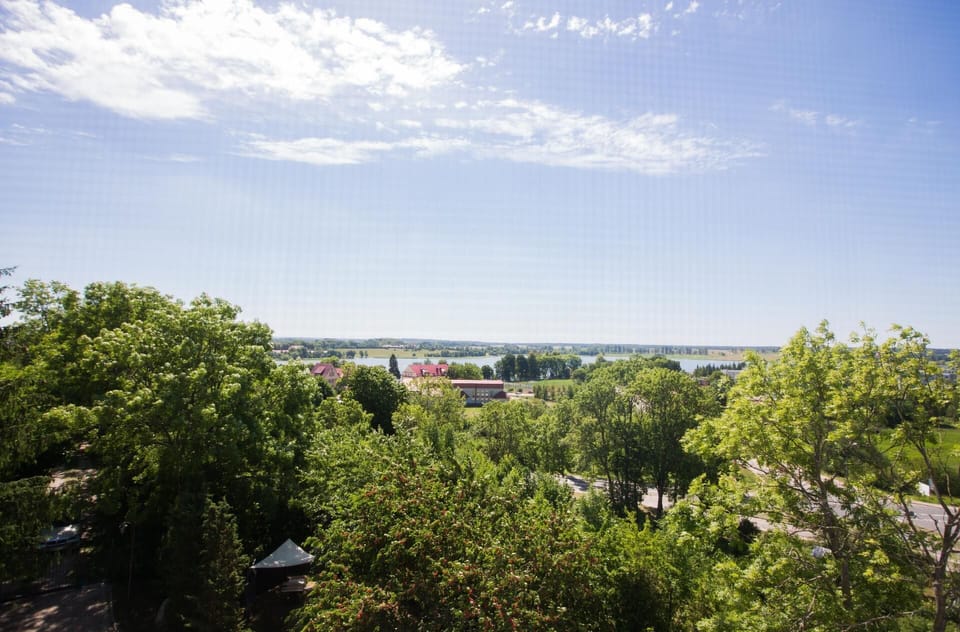 View from the window