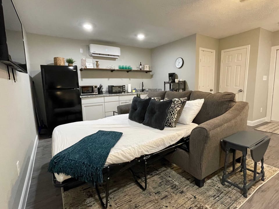 Full Sleeper sofa