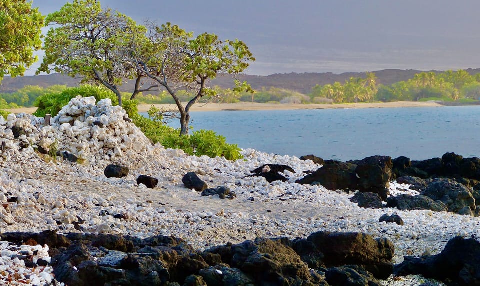 MORNING WALK ALONG A-BAY ACROSS THE STREET