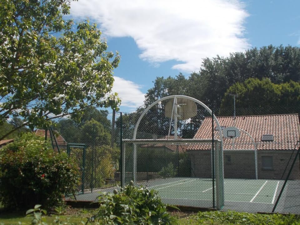 Sport court