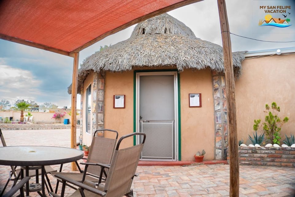 Percebu - San Felipe BC MX - studio outside shaded area